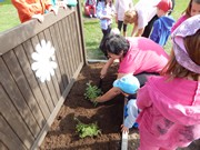 Zakládáme bylinkovou zahrádku